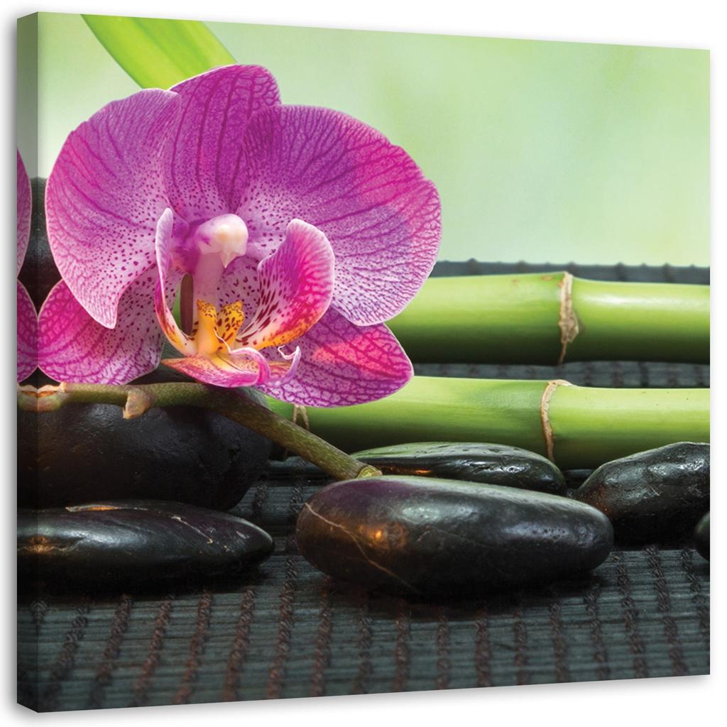 Canvas Print Spa Zen Orchid Flowers
