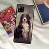 Чехол для Samsung Galaxy A56 A36 A06 A13 A53 A32 A12 A22 A52 A35 A26 A16 A55 A15 A54 A34 A14 с Бернской овчаркой