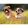 5D DIY Diamond Painting Dogs Embroidery Mosaic Cross Stitch Rhinestone Decoration