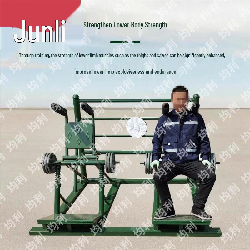 Junli Two-Person Large Physical Training Equipment