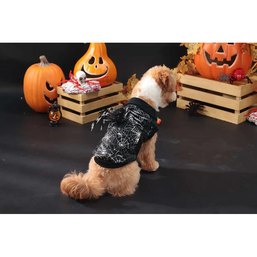 2026 New Pet Halloween Costume Decorations Clothes Black Spider Web Outfits Cat and Dog Cosplay Costumes Pet Supplies