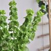 3PCS Simulated Shell Leaf Artificial Flower Bell Grass Flower Bells of Ireland Arrangement Home Office Arrangements Indoor Outdoor Decoration