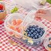 Student Lunch Box Portable Fresh Fruit Container Office Worker Bento Box with Ice Pack Reusable Leakproof Food Storage