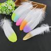 50Pcsdy Handmade Feather Two-Color Gradual Change Feather Jewelry Accessories Clothing Accessories Feather