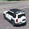 Ford Explorer/Edge/Territory Aluminum Roof Platform with Foldable Ladder