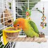 Wear-resistant Bird Cage Feeder Paw Grinding Parrot Wood Perch Bird Feeding Cup  Pet Bird Supplies