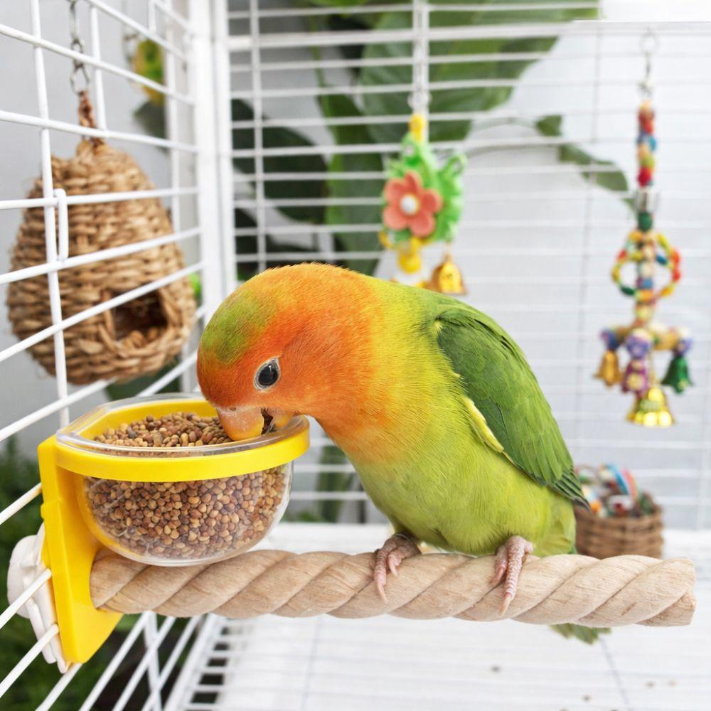 Wear-resistant Bird Cage Feeder Paw Grinding Parrot Wood Perch Bird Feeding Cup  Pet Bird Supplies