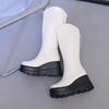 New V-port High Tube Wedge Heel Boots Women's High Boots Thick Sole 8cm~ 10cm Knight Boots