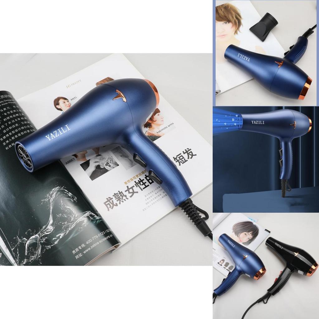 Professional Salon Hair Dryer With Powerful Brushless Motor Blue Light And Heat/cold Settings