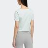 Adidas Originals T Shirt Women's Symbol Green (Unisex) Crop Tops HR6911
