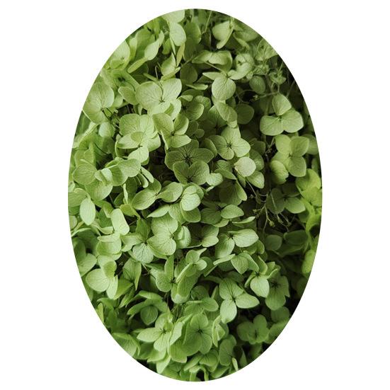 1 коробка, головки сушеных цветов, цветные, изысканные, 21 стиль, отличные привлекательные цветы гортензии, домашний декор