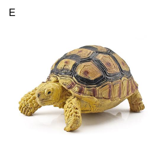 Sulcata Tortoise Mold Vivid Clear Texture 3D Effect Sea Ocean Life Simulation Animal Model for Kids