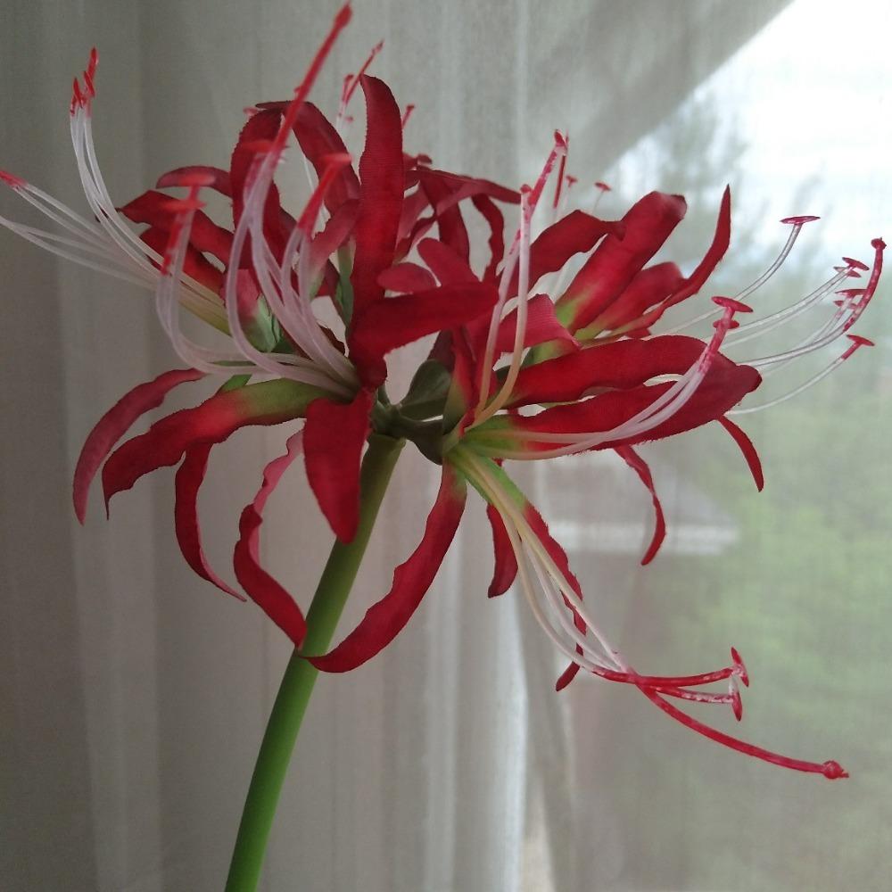 Паучьи лилии, искусственные цветы, шелковый псевдоликорис, букет, имитация Маньчжушахуа, домашний декор
