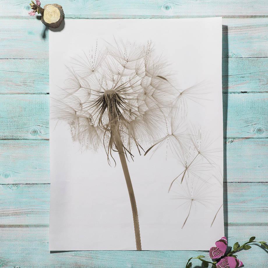 Растение, пейзаж, цветок, пшеница, тростник, трава, одуванчик, птица, постеры, печать, настенная живопись на холсте, украшение для дома в помещении, гостиной