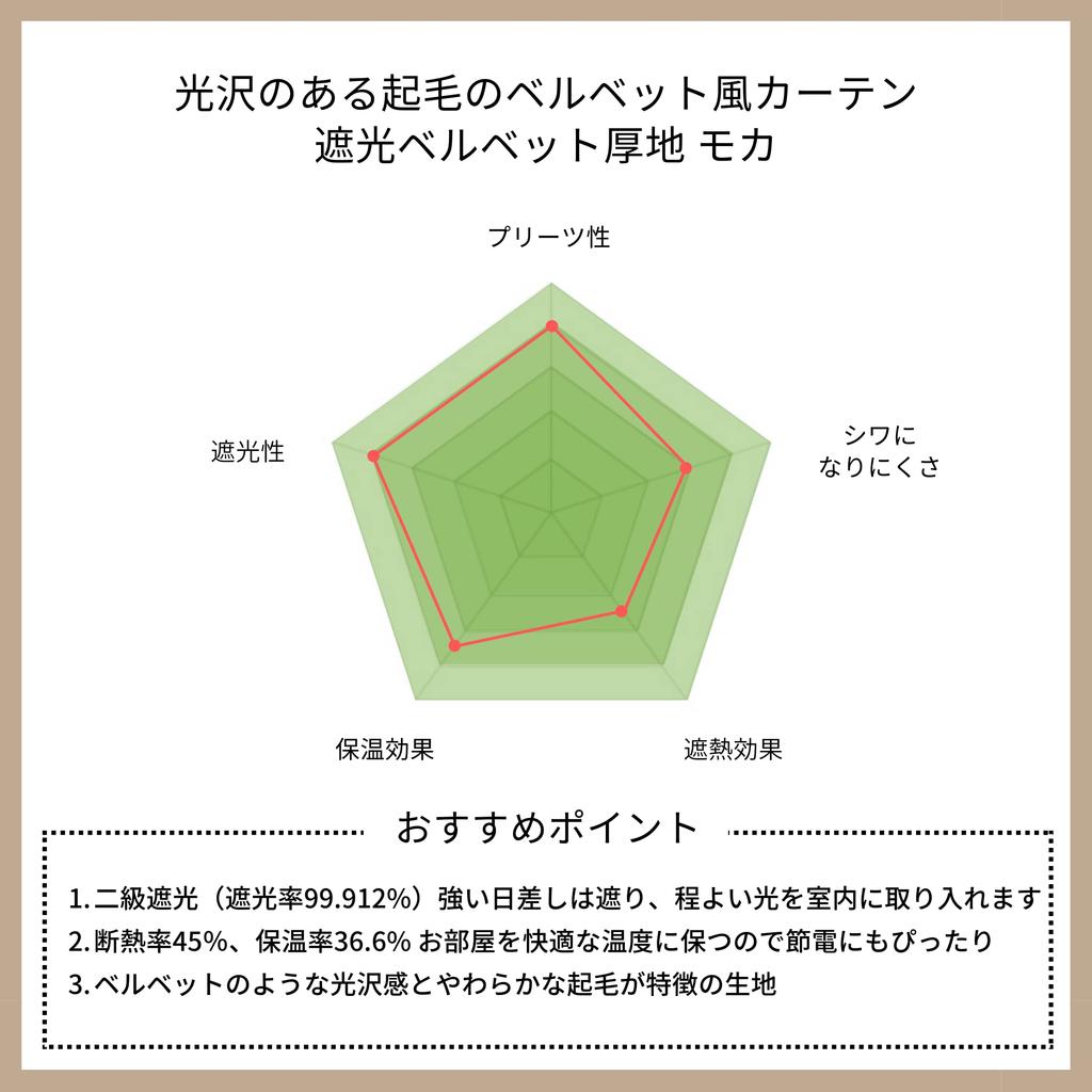 Curtain Laboratory 100см Ширина x 135см Комплект Уровень 2 Регулируемый по световой энергии Простой дизайн "Блэкаут Бархатистая драпировка, Мокко" Длинный, 2, Блокирующий,