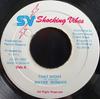 7inch Record WAYNE WONDER - That Night NONE Shocking Vibes 1992 Jamaica Reggae, Ska & Dub Used