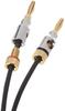 AmazonBasics Speaker Cable Wire with Gold Plated Banana Plug CL2-99.9% Oxygen-Free - 1.8m Black