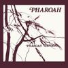 PHAROAH Inch [12 Analog]