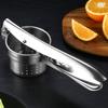 Stainless Steel Manual Vegetable & Fruit Squeezer