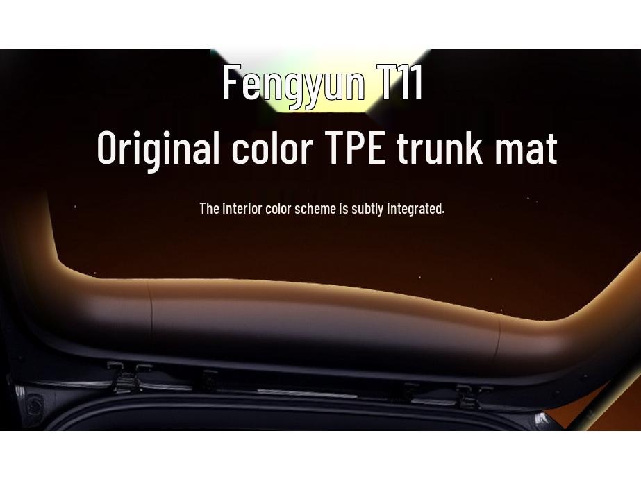 Коврик в багажник Fengyun T11: TPE25 Коврики в салон автомобиля Chery