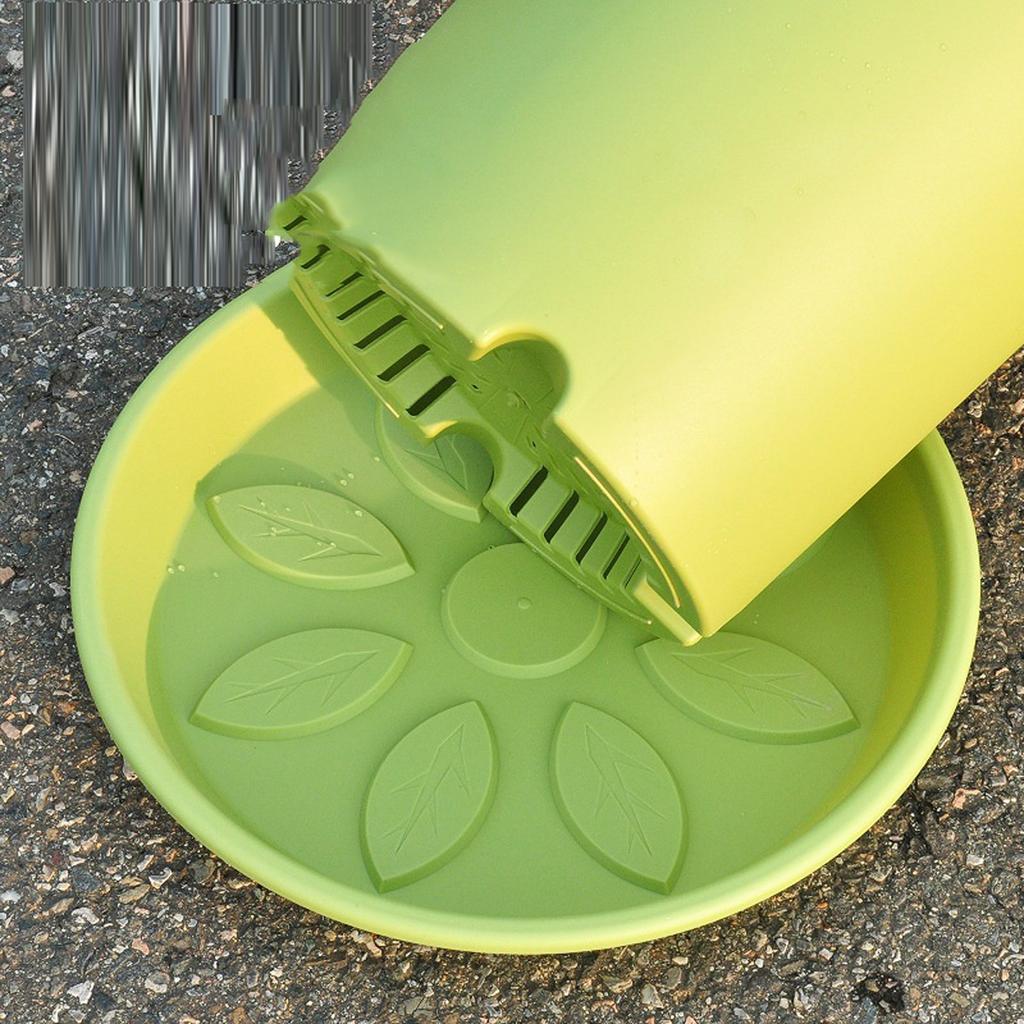 The New - Gallon Rose And Green Vine Plastic Flowerpot Of Four Seasons Flowerpot