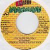 7-дюймовая пластинка GENERAL SHANKY, RICHIE SPICE - Life Is One Big Roll НЕТ D Jam Records 1995 Ямайка Регги, Ска и Даб Б/У