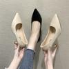 Black High Heels Women's Low Heels 2025 Spring and Autumn New Versatile Professional Work Nude Thin Heels Pointed Single Shoes