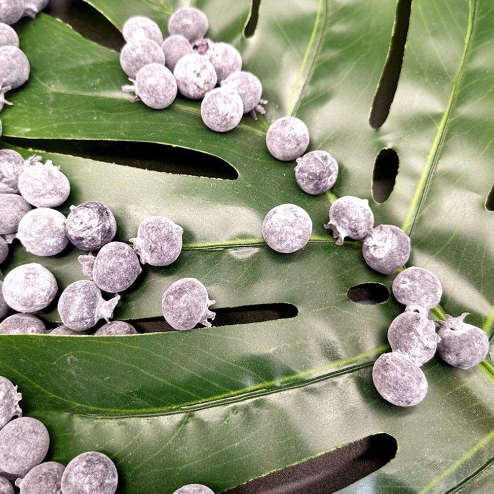 Blueberries Fruit Home Decor Kitchen Display Offices