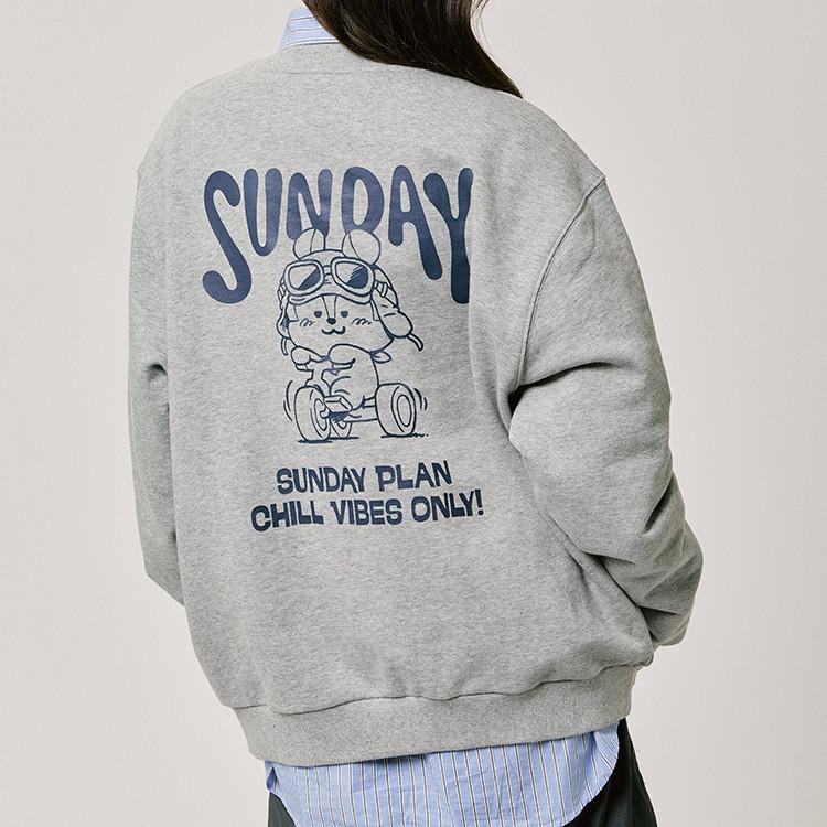 Толстовка BT21 MANG BASIC серая (M-L)