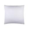 Protège-oreiller - Carlyne - 60 X 60 Cm - 100% Coton - Anti-acarien - Blanc