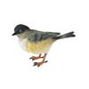 Miniature Birds Decor Animal Sculpture Simulation Bird Figurines Sparrow Figures for Bookshelf Home