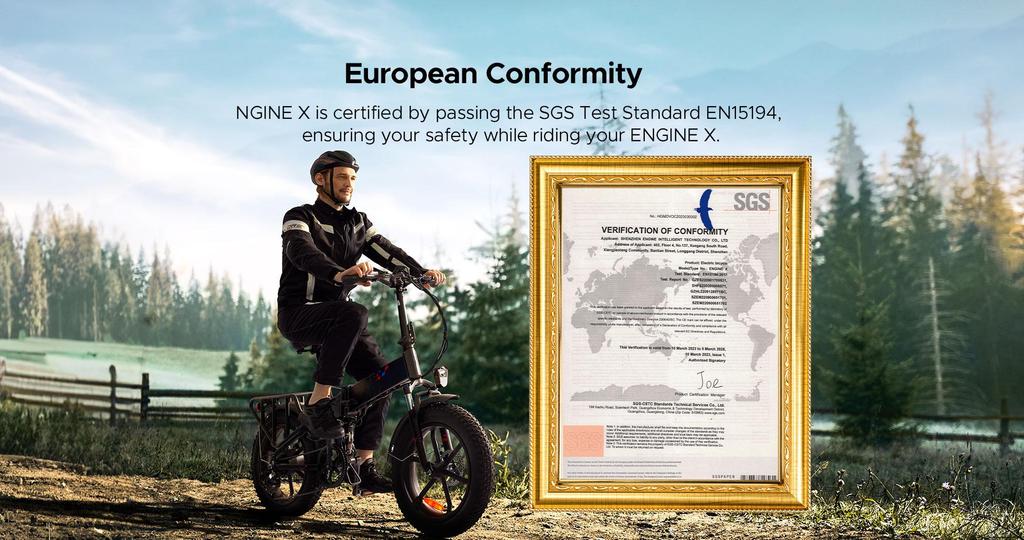 ENGWE ENGINE X 250W Electric Bike - 42km/h, 120km Range, 20" Fat Tire E-Bike with 7-Speed Gears