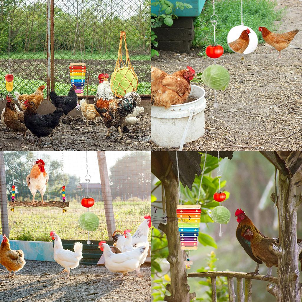 6Pcs Chicken Toys for Coop Accessories Xylophone Toy Chicken Mirror Ladder Bridge Coop Swing Vegetable Hanging Chicken Feeder