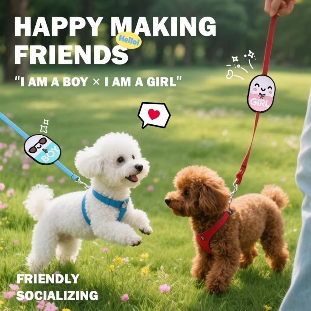 Водонепроницаемые наклейки с идентификацией питомца, мультяшные декоративные наклейки для собак, новая бирка для питомца, выгул собаки