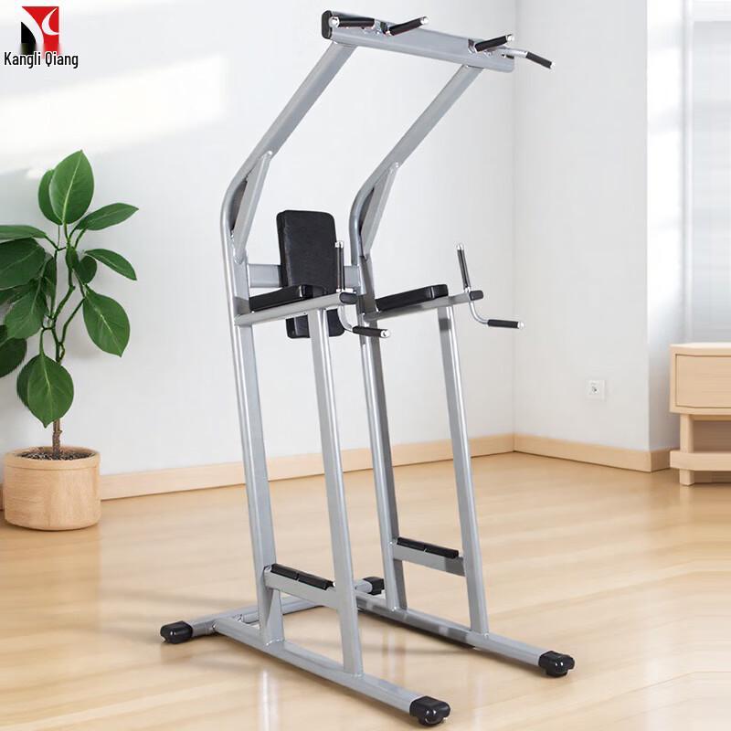 DSG-3 Pull-up and Dip Station