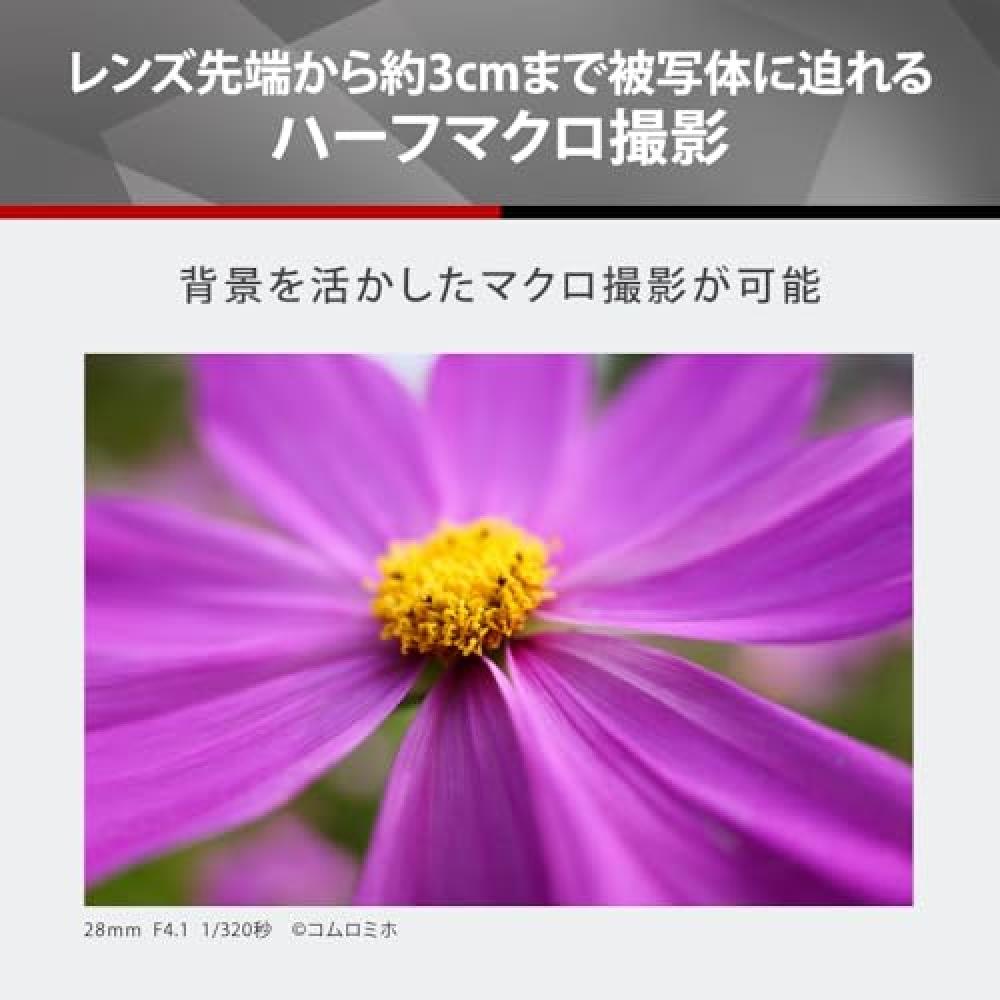 Panasonic High Magnification Zoom Lens Full Size Mirrorless Single Lens L Mount System LUMIX Small and Lightweight LUMIX S 28-200mm F4-7.1 Black S-R28