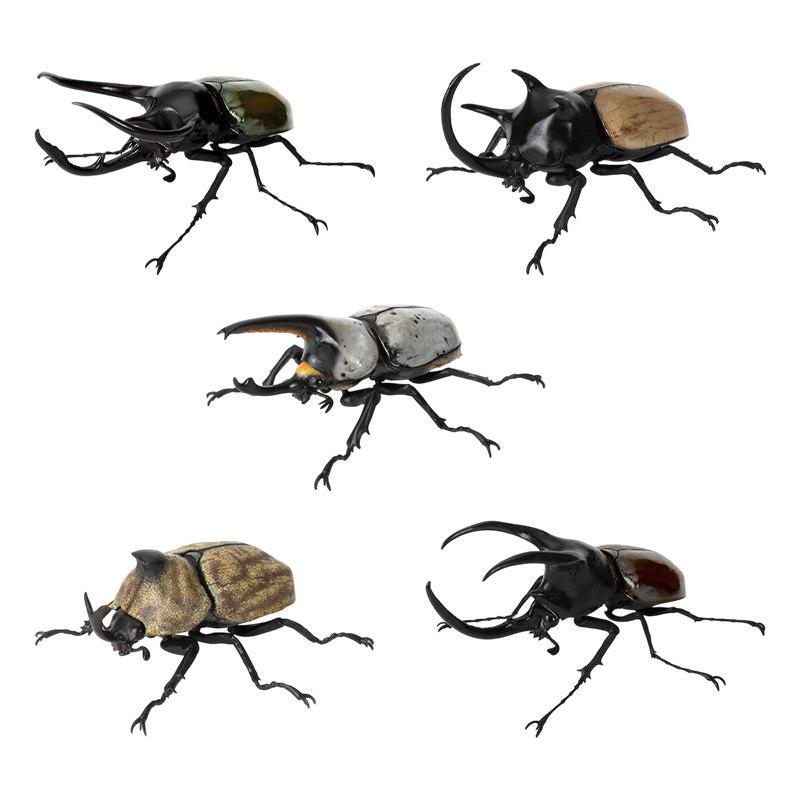 Beetle Insect Model Articulated Realistic 10 Joints Desktop Decor Ornament Chalcosoma Chiron Dynastes Grantii