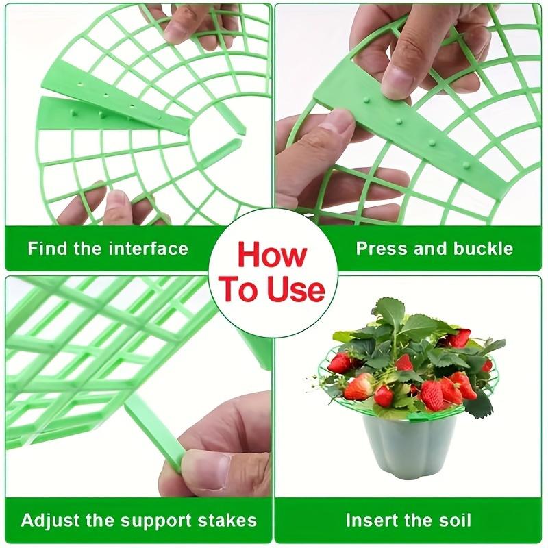 Green Strawberry Planting Stand with 3 Sturdy Legs - PVC Plant Support Cage, And Corrosion, Ideal Planting Aid