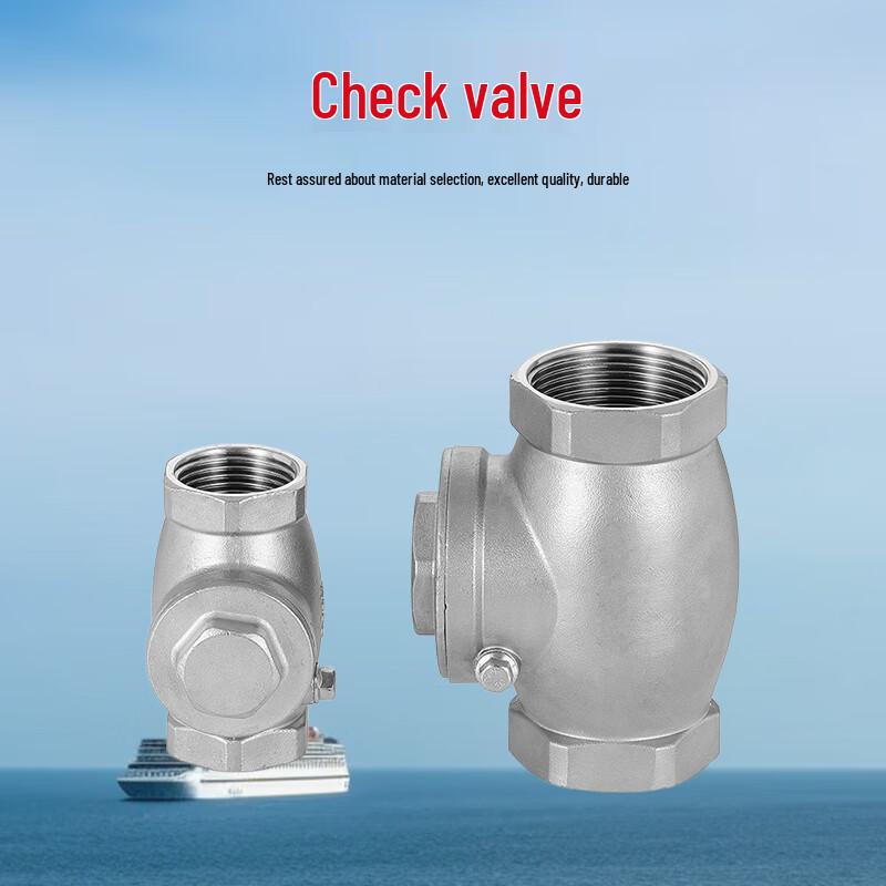 Stainless Steel Internal Thread Horizontal Check Valve