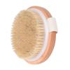 Wooden Bath Brush Body Massage Wood Exfoliation Shower Brush Horse Hair Brush
