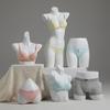 Unisex Half-Body Plastic Mannequin for Underwear Display