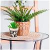 Les Trésors De Lily [R6621] - 'Boho' Black Beige Bamboo Planter - 95x84 Mm (circles)