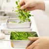 Прямоугольные лотки для хранения продуктов, контейнер для сохранения с пластиковой крышкой, многофункциональный, из нержавеющей стали, защита от ржавчины, для хранения продуктов для барбекю