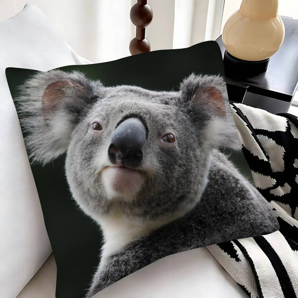 Cute Koala Pillow Case Fashion Square Pillowcase Bedroom Sofa Room Ins Decoration Leisure
