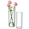 Hydroponic Plants Transparent Flower Vase Tall Rustic Clear Vases Restaurant Centerpiece