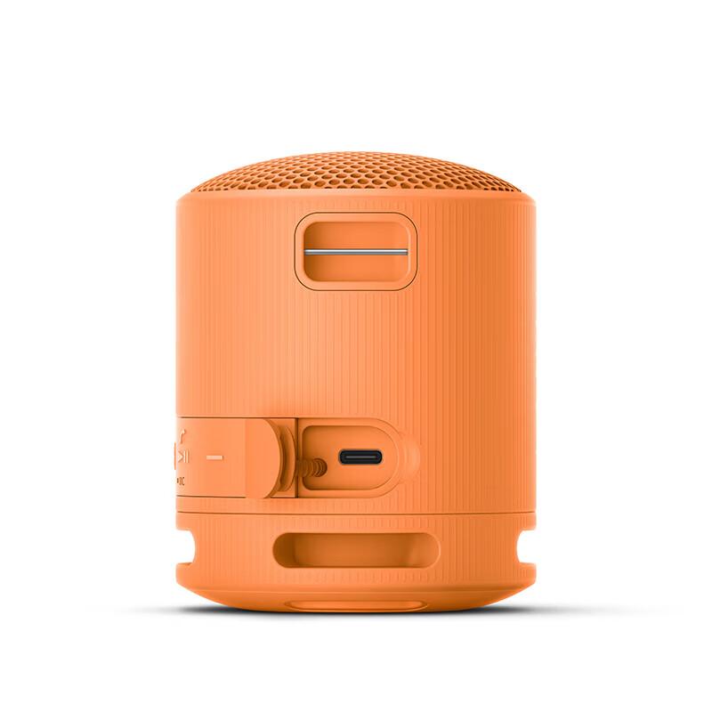 Портативная Bluetooth-колонка Sony SRS-XB100