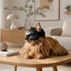 Удобная маска для кошки, маска летучей мыши, смешной шлем, шапка, костюм для косплея, регулируемый питомец для праздничного костюма, аксессуары для Хэллоуина, реквизит для фотосессии,