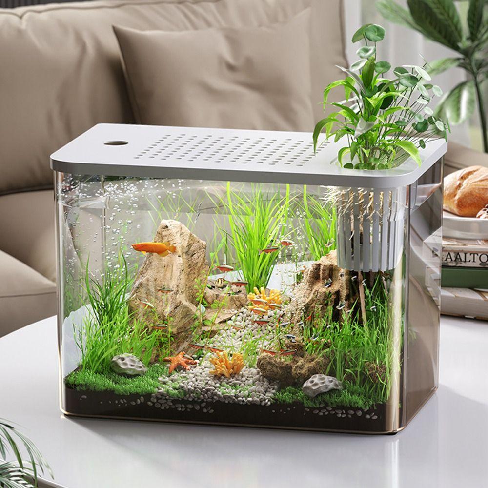 Transparent Desktop Aquarium with Lid Turtle Tank Durable Ecological Water Tank for Home