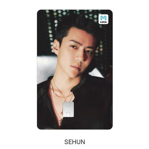 EXO Транспортная карта Loca Mobility - EXIST