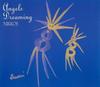 CD NIKKOS Angels Dreaming NKKS1011 Nikkos Music 2000 США New Age Easy Listening Б/у